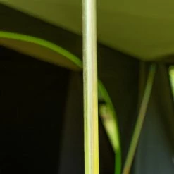 Zempire Atlas Tent -Tunnel Tents Sales Store zempire atlas tent 4